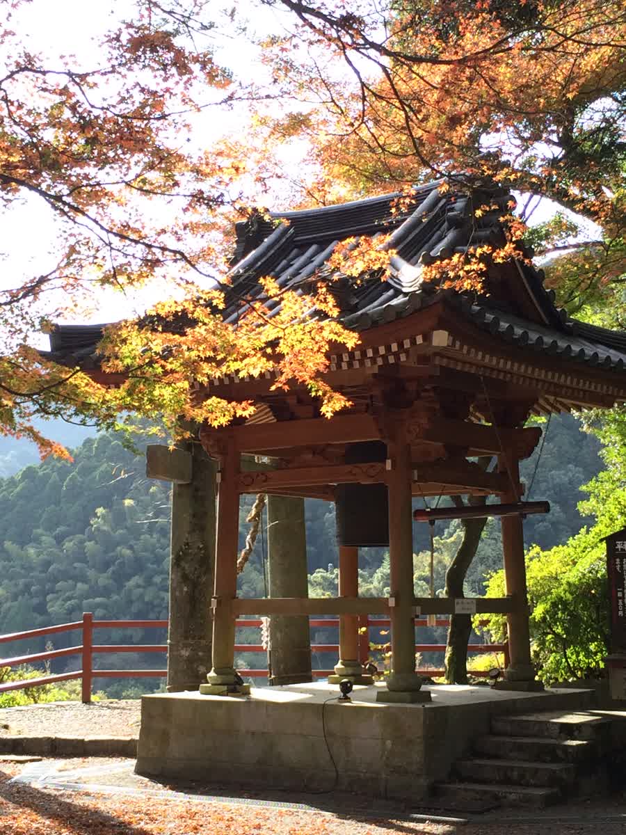 大興善寺 | 去趣 chicTrip