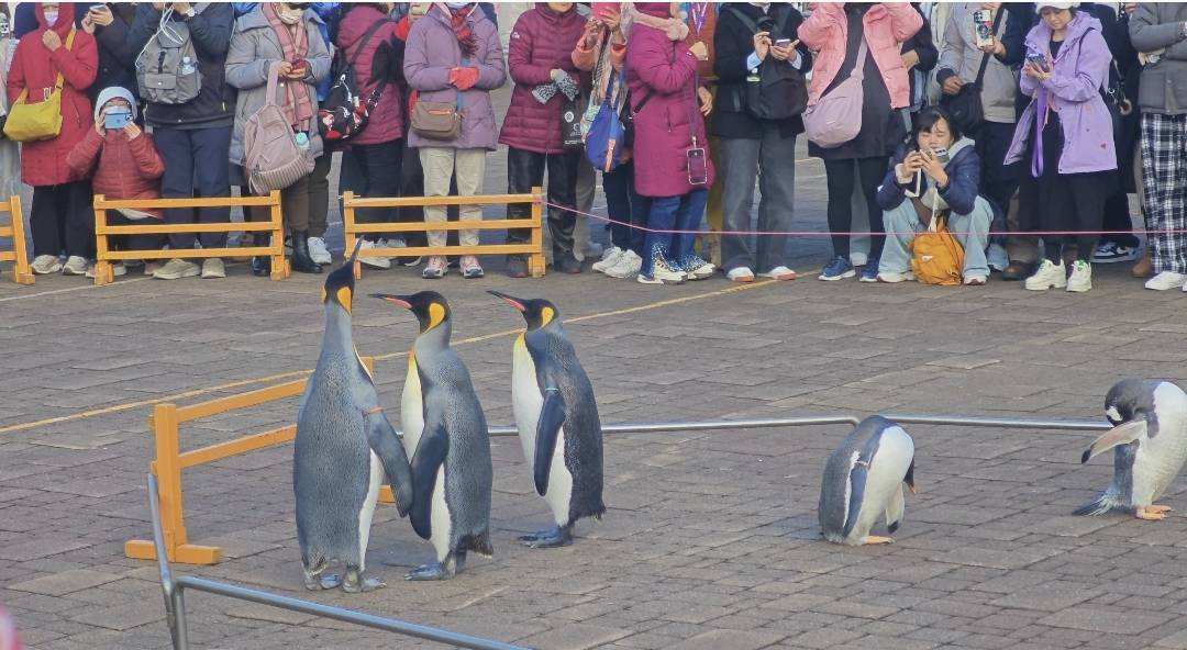 登別尼克斯海洋公園 | 去趣 chicTrip