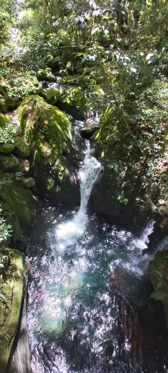 司馬庫斯 | 去趣 chicTrip