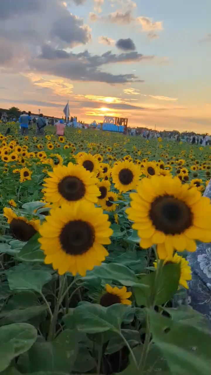 大佳河濱公園 | 去趣 chicTrip