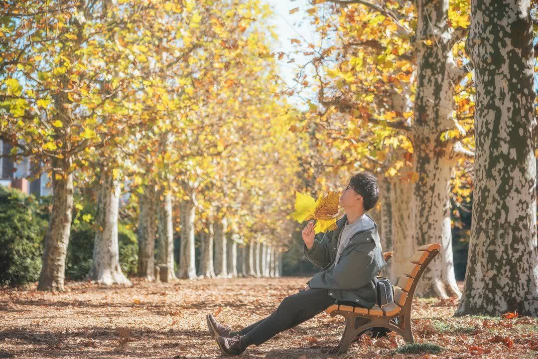 新宿御苑 | 去趣 chicTrip