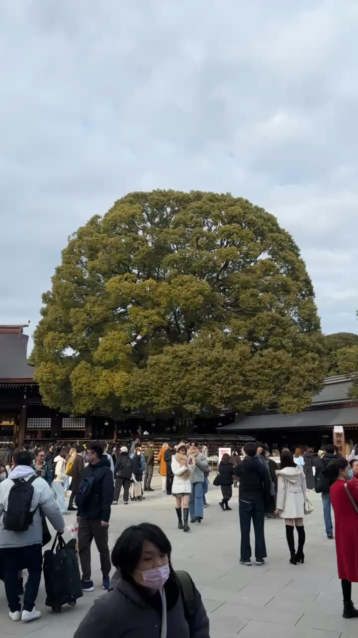 明治神宮 | 去趣 chicTrip