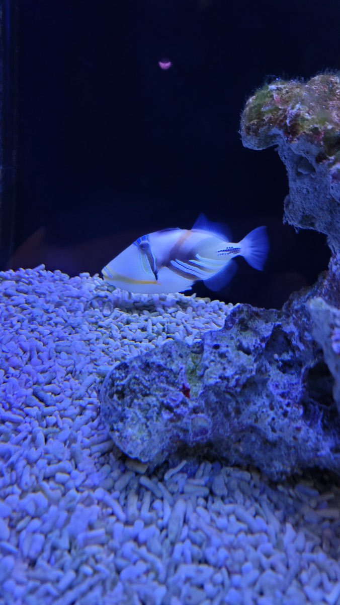 澎湖水族館 | 去趣 chicTrip