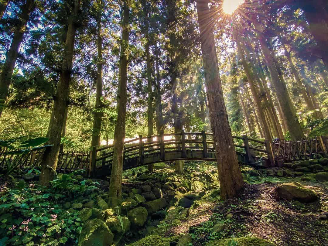 溪頭自然教育園區 | 去趣 chicTrip