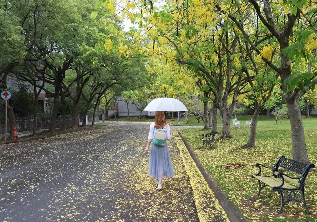 中興新村 | 去趣 chicTrip