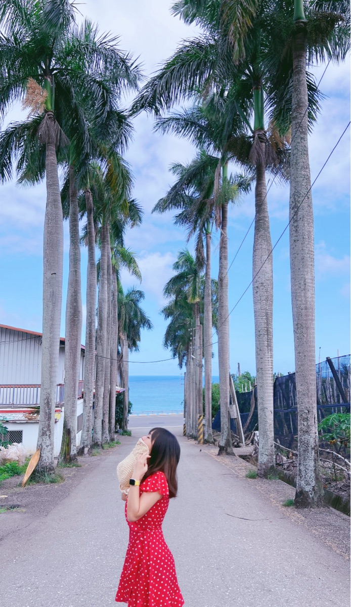 華源椰林大道 | 去趣 chicTrip