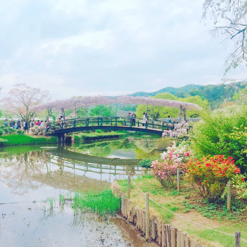 足利花卉公園 | 去趣 chicTrip