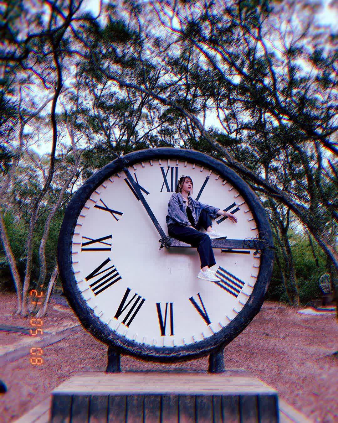 格林奇幻森林 Green Fantasy Forest | 去趣 chicTrip