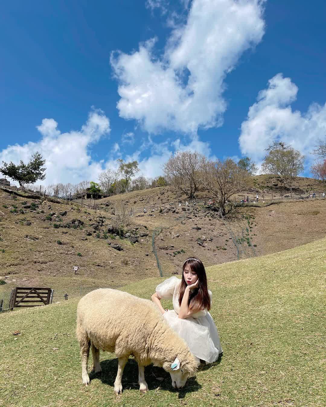 清境農場青青草原 | 去趣 chicTrip
