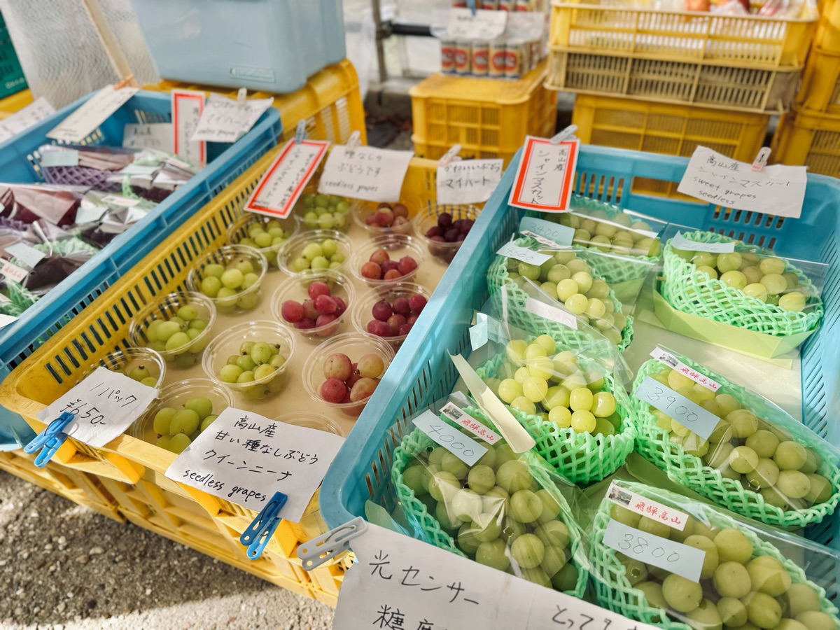 宮川朝市 | 去趣 chicTrip