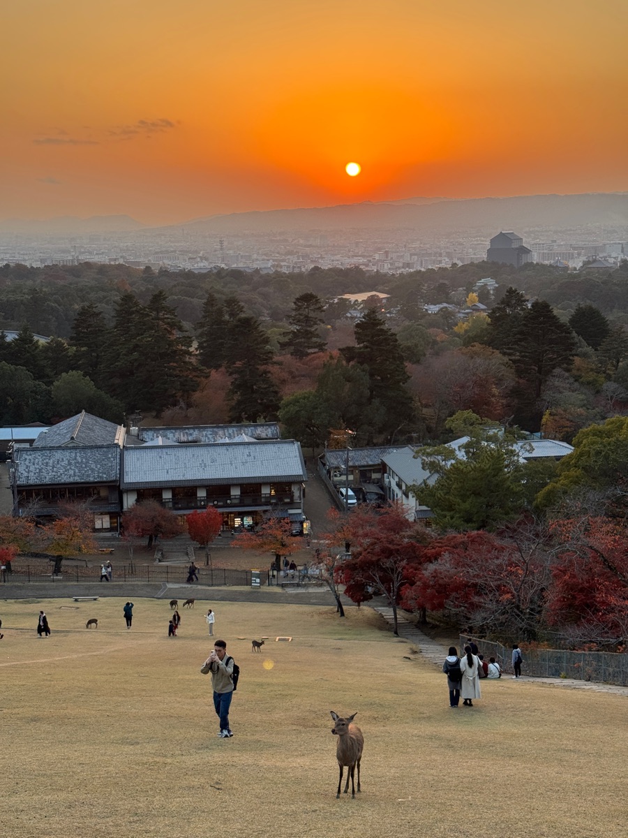 若草山 | 去趣 chicTrip