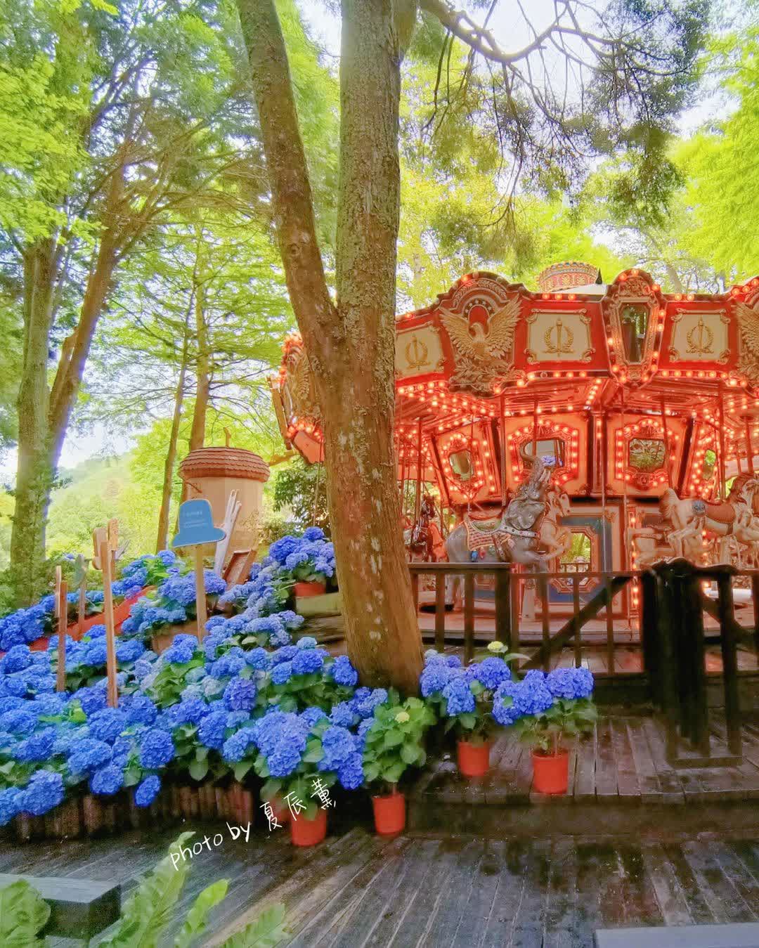 薰衣草森林台中新社店 | 去趣 chicTrip