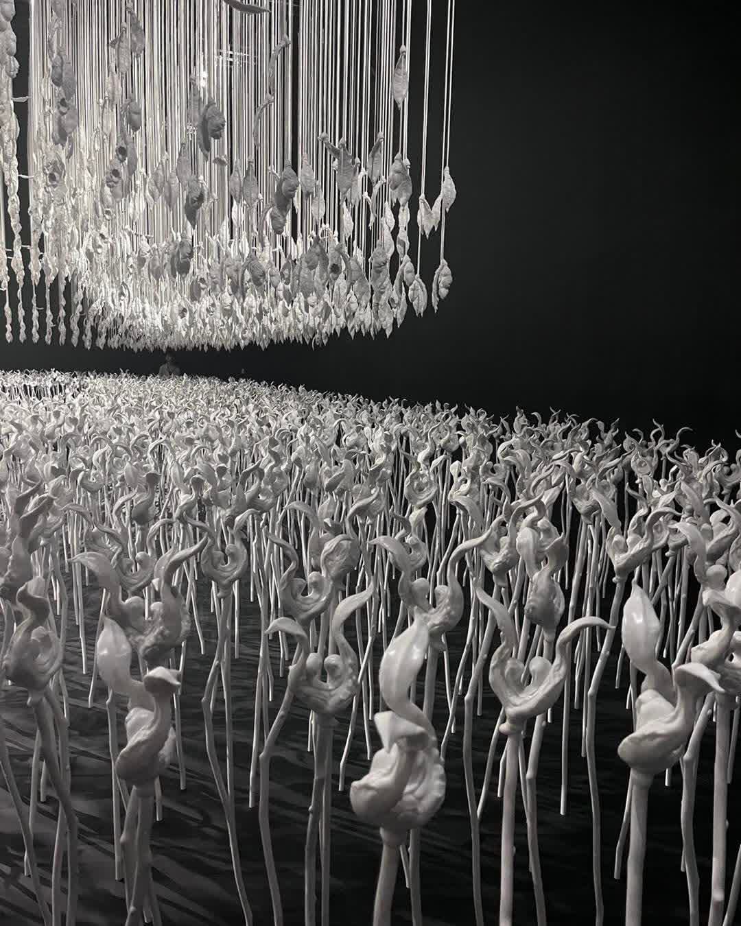 大館 | 去趣 chicTrip