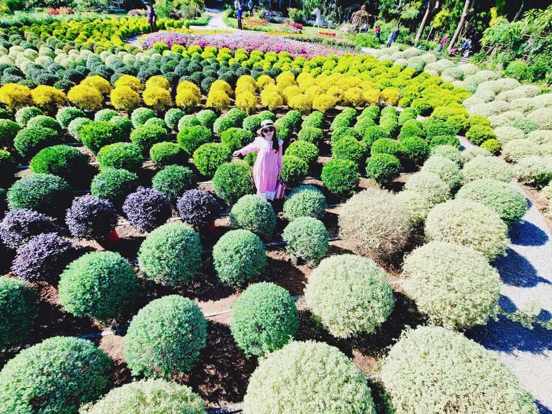 花露農場 Flower Home | 去趣 chicTrip