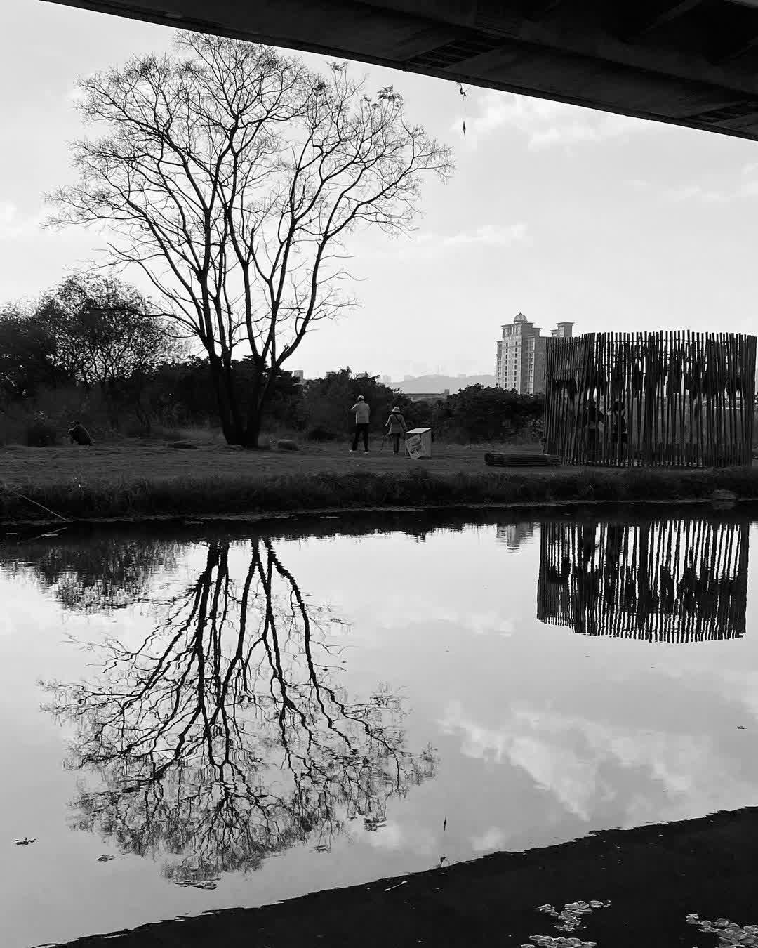 信義鄉農會梅子夢工廠(酒莊) | 去趣 chicTrip