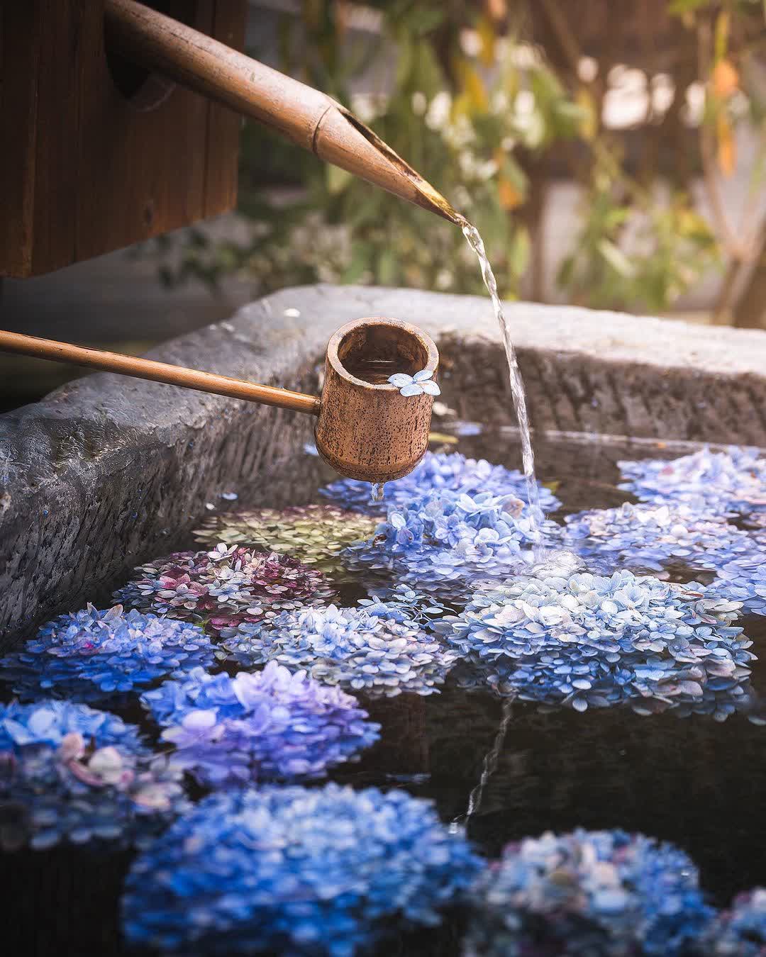 薰衣草森林台中新社店 | 去趣 chicTrip