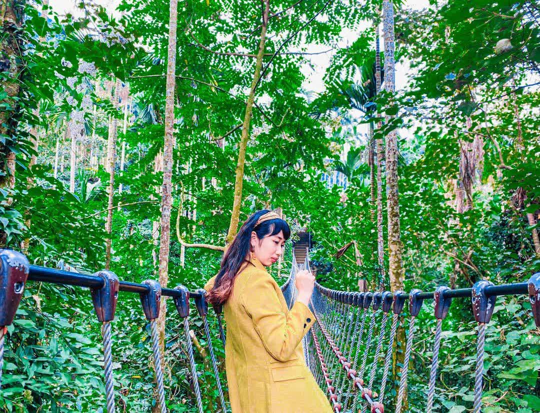 華山溪吊橋（華山小天梯）-華山休閒農業區