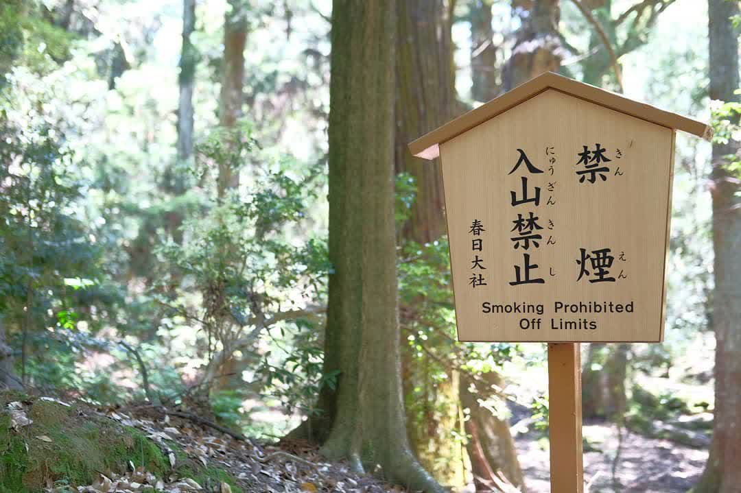 春日大社 | 去趣 chicTrip