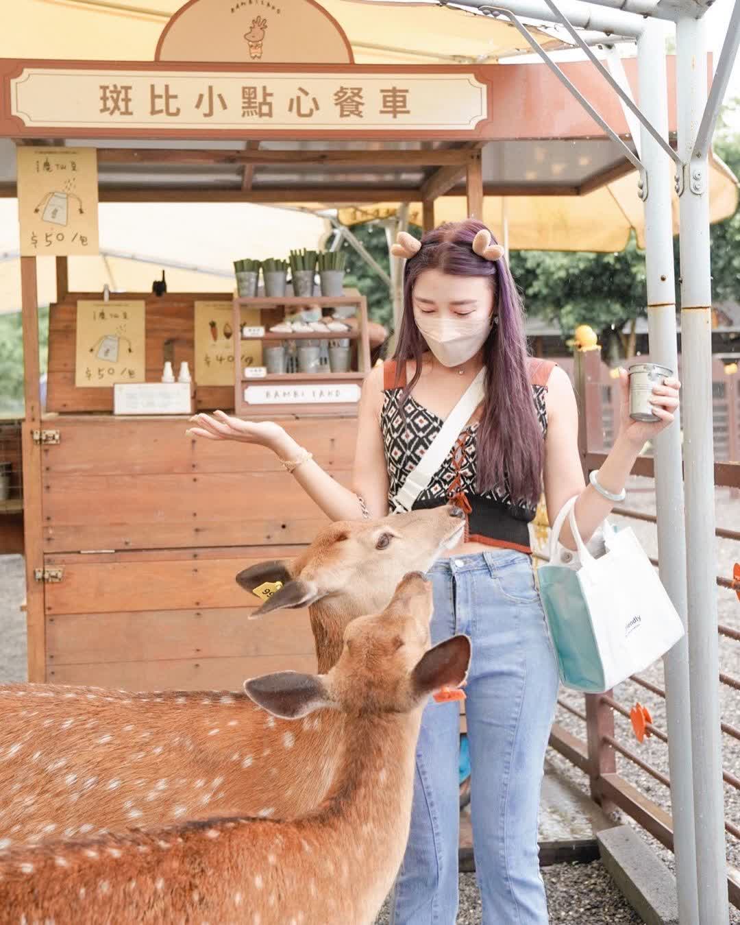 宜蘭-斑比山丘 | 去趣 chicTrip