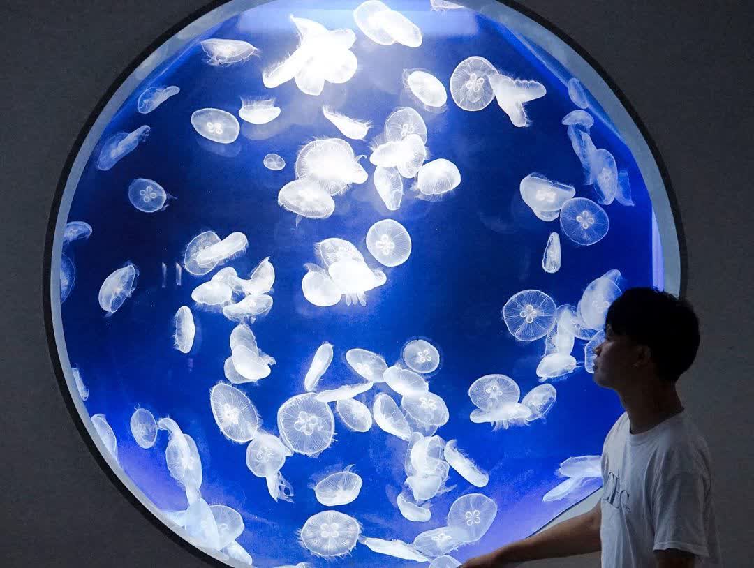 Xpark 水族館 | 去趣 chicTrip