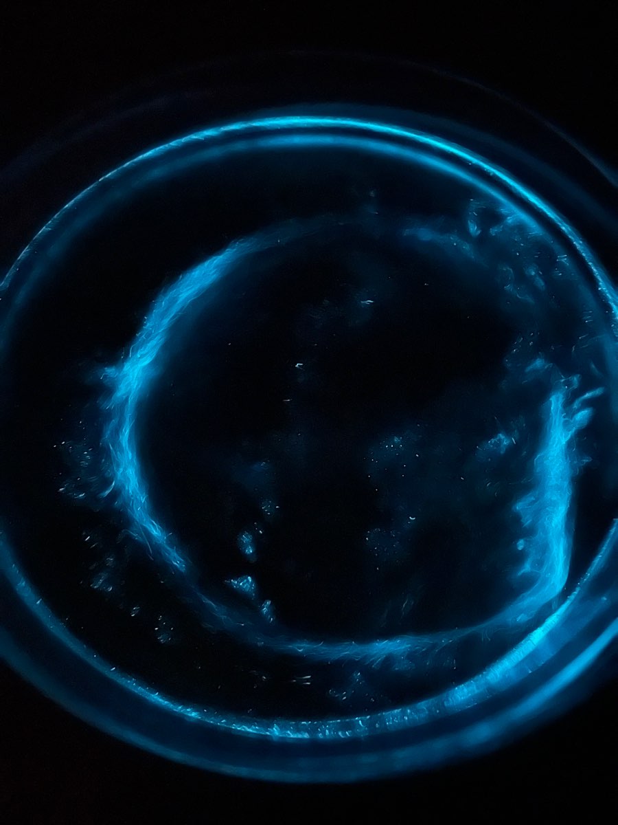 藍眼淚生態館 | 去趣 chicTrip