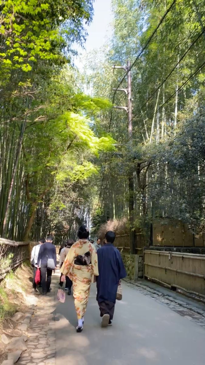 嵐山竹林小徑 | 去趣 chicTrip