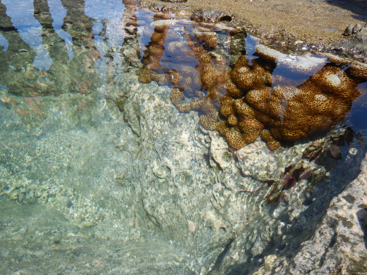 金瓜仔礁（忘憂島） | 去趣 chicTrip