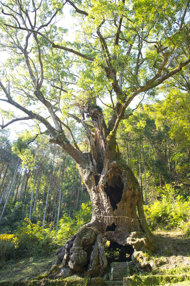 武雄神社 | 去趣 chicTrip