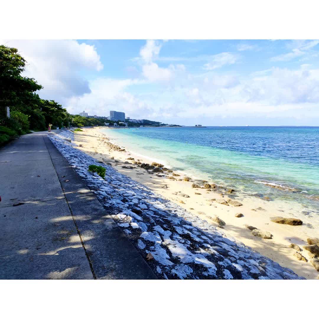 Bise-Fukugi Tree Road | 去趣 chicTrip