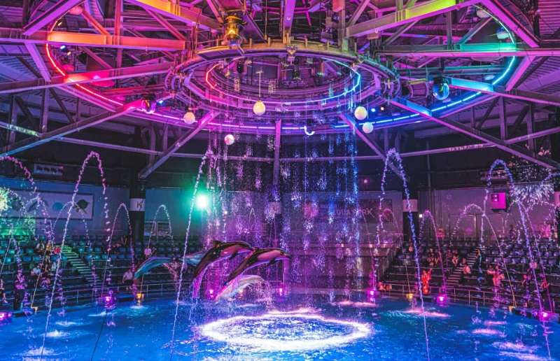 室內水族館 Maxell Aqua Park | 去趣 chicTrip
