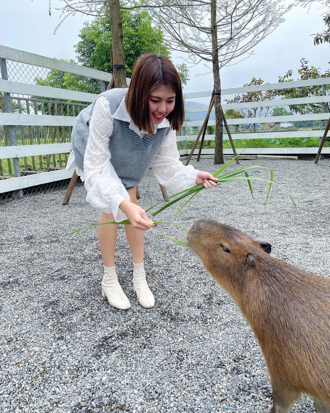 張美阿嬤農場（月森甯手作工坊） | 去趣 chicTrip