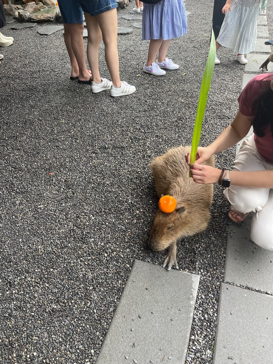 張美阿嬤農場（月森甯手作工坊） | 去趣 chicTrip