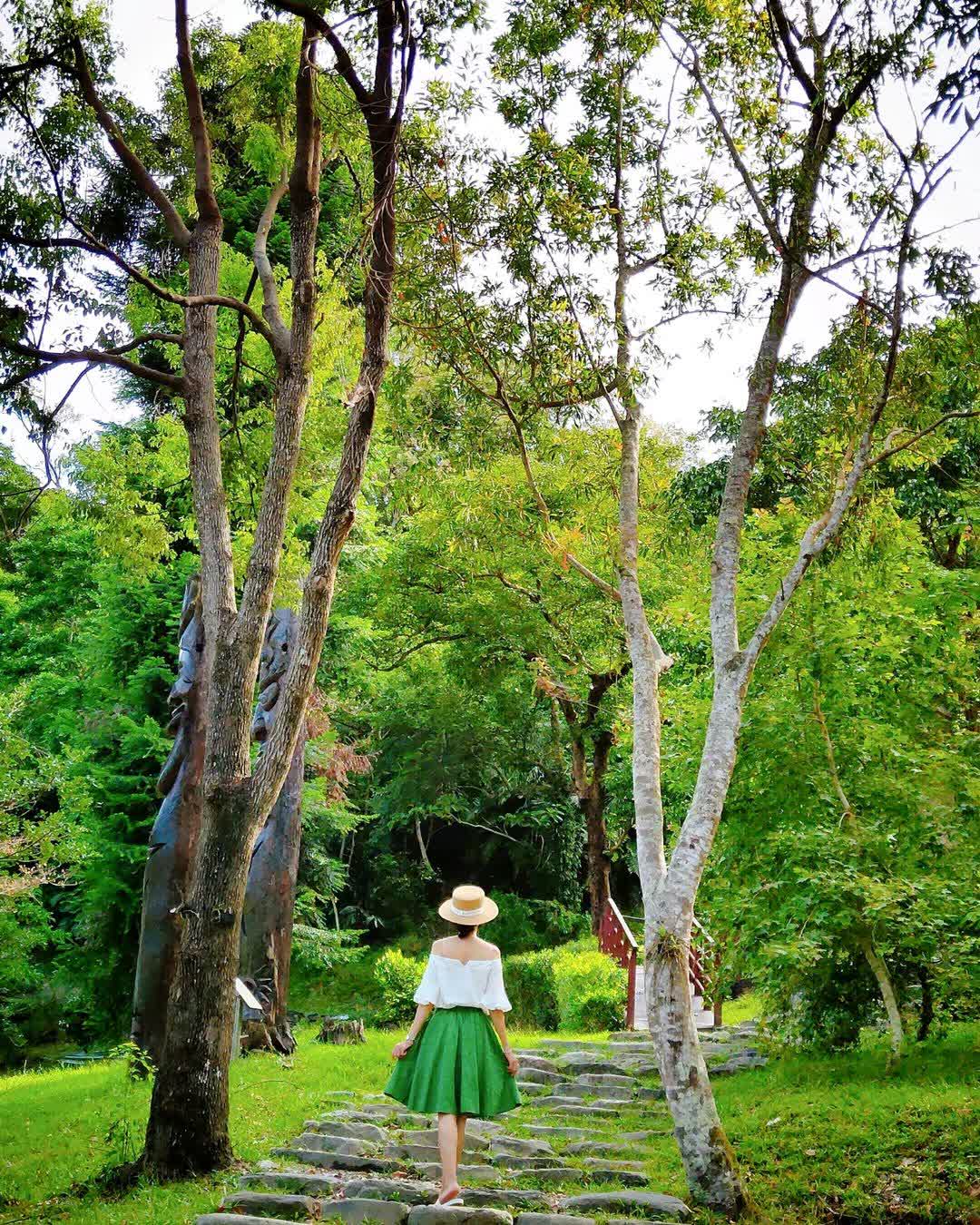 知本國家森林遊樂區 | 去趣 chicTrip