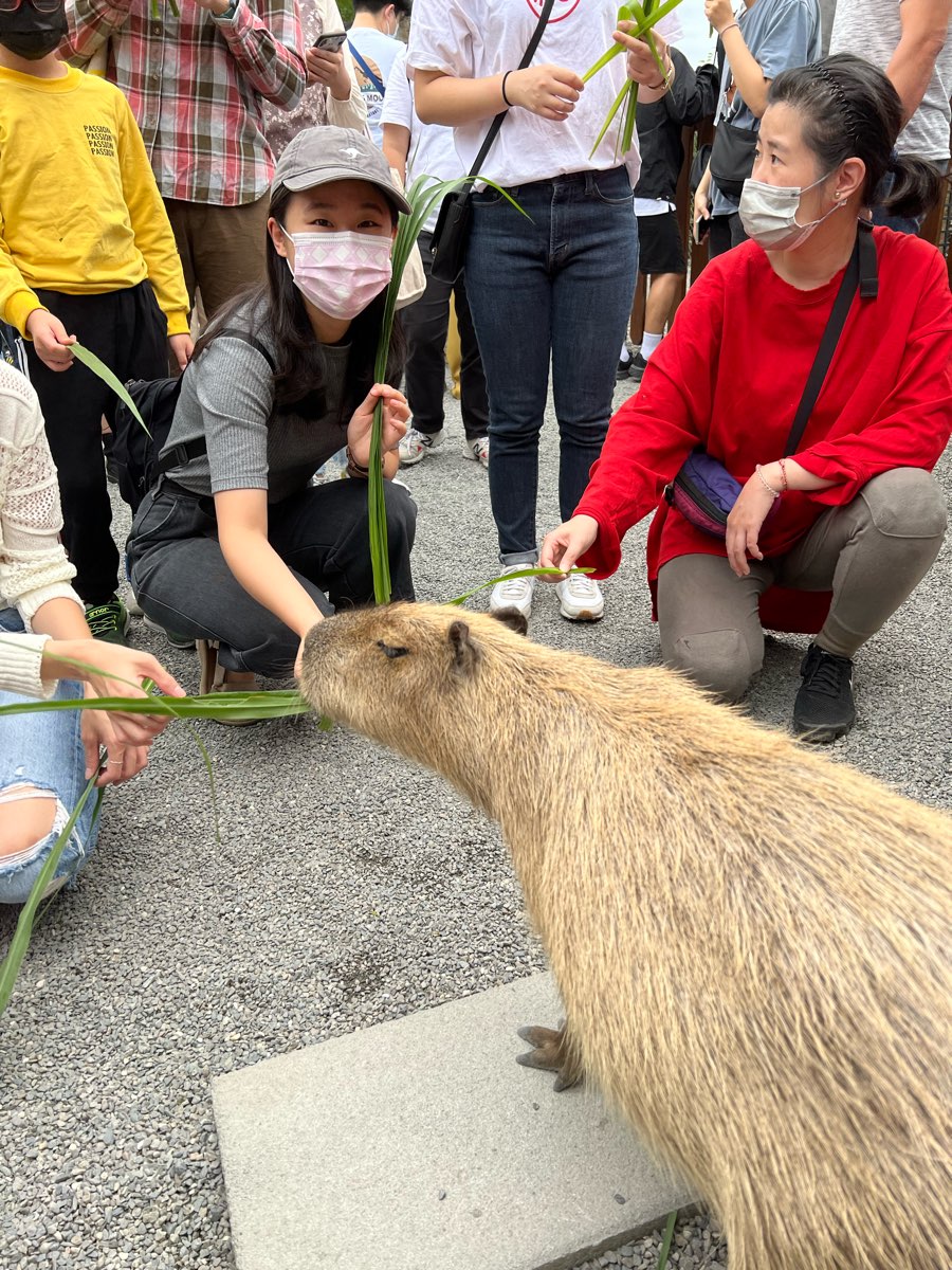 張美阿嬤農場（月森甯手作工坊） | 去趣 chicTrip