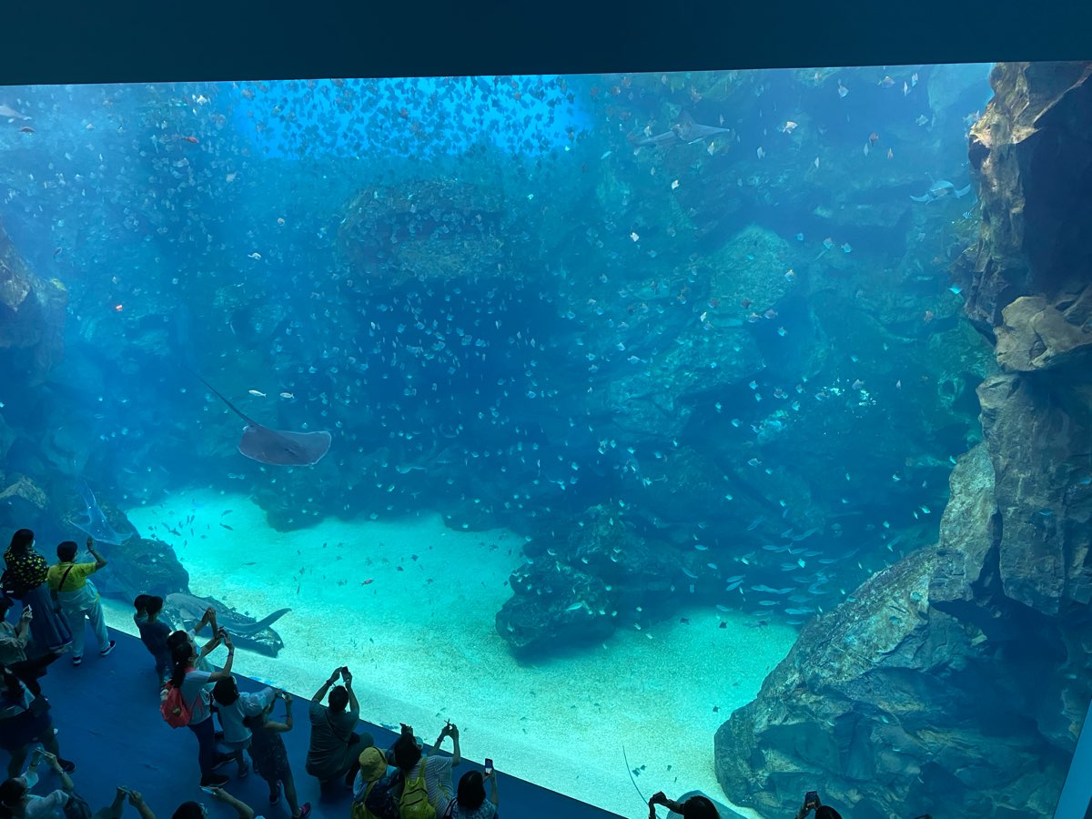 Xpark 水族館 | 去趣 chicTrip