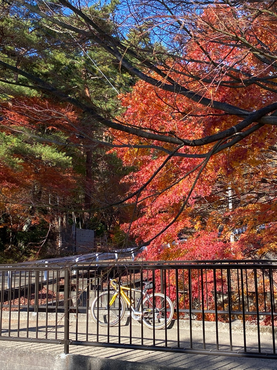 河口湖楓葉迴廊 | 去趣 chicTrip