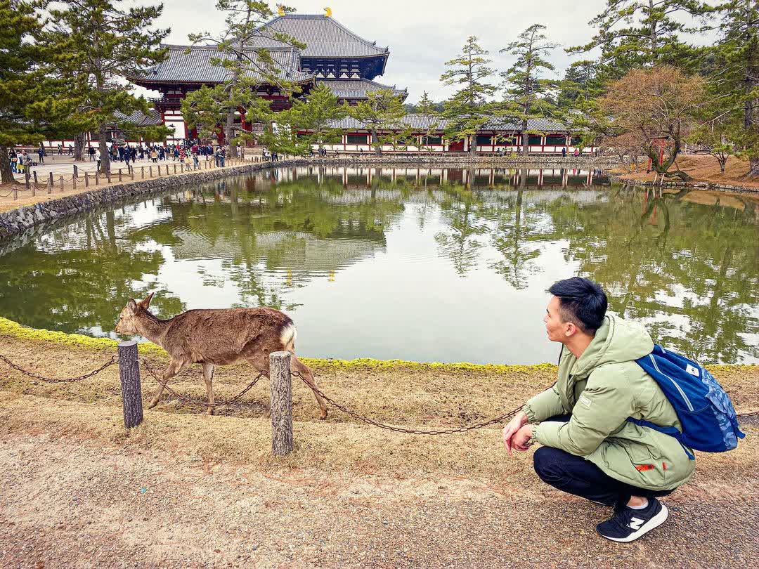 Tōdai-ji 東大寺 | 去趣 chicTrip