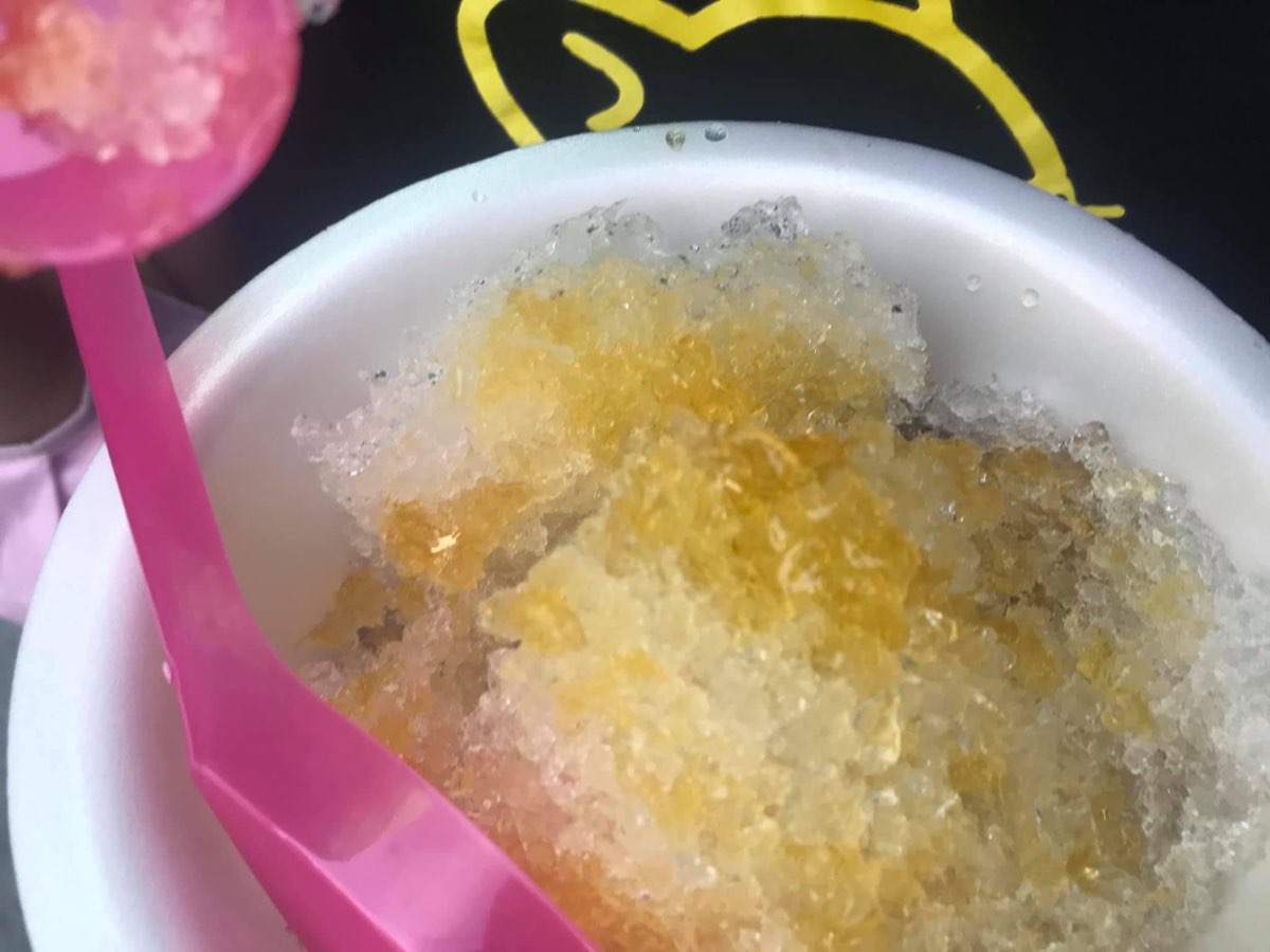 粳粽林 | 去趣 chicTrip