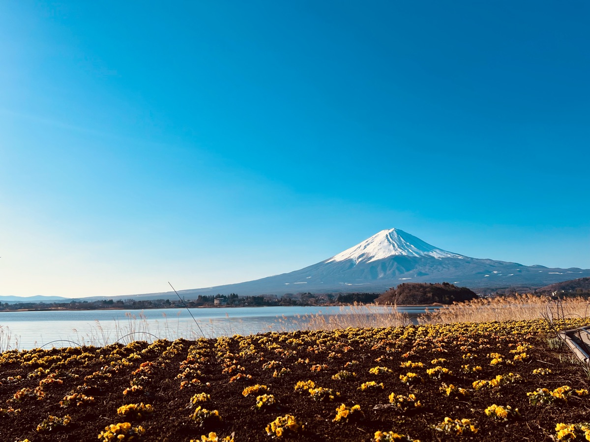 大石公園 | 去趣 chicTrip