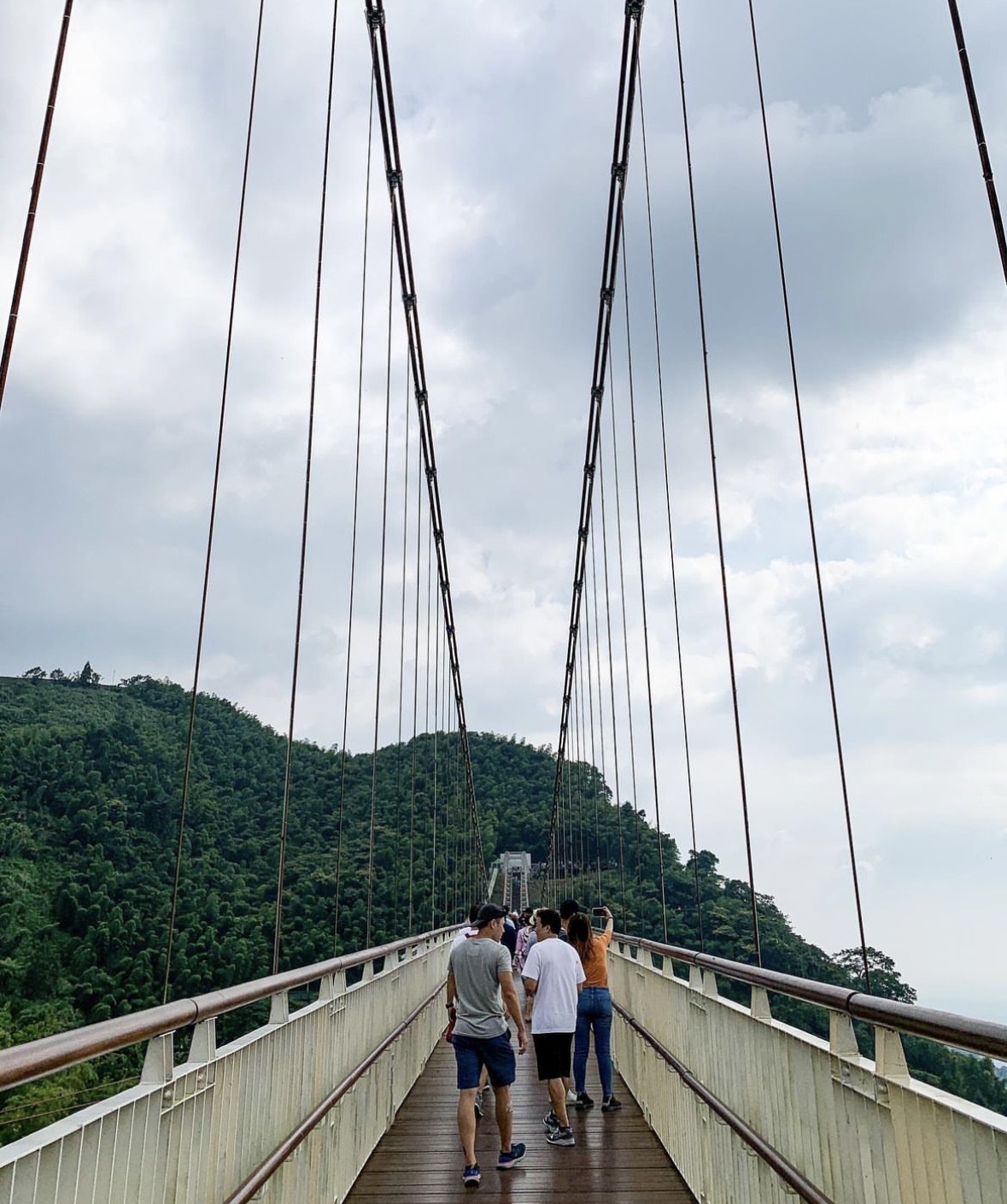 嘉義梅山太平雲梯 | 去趣 chicTrip
