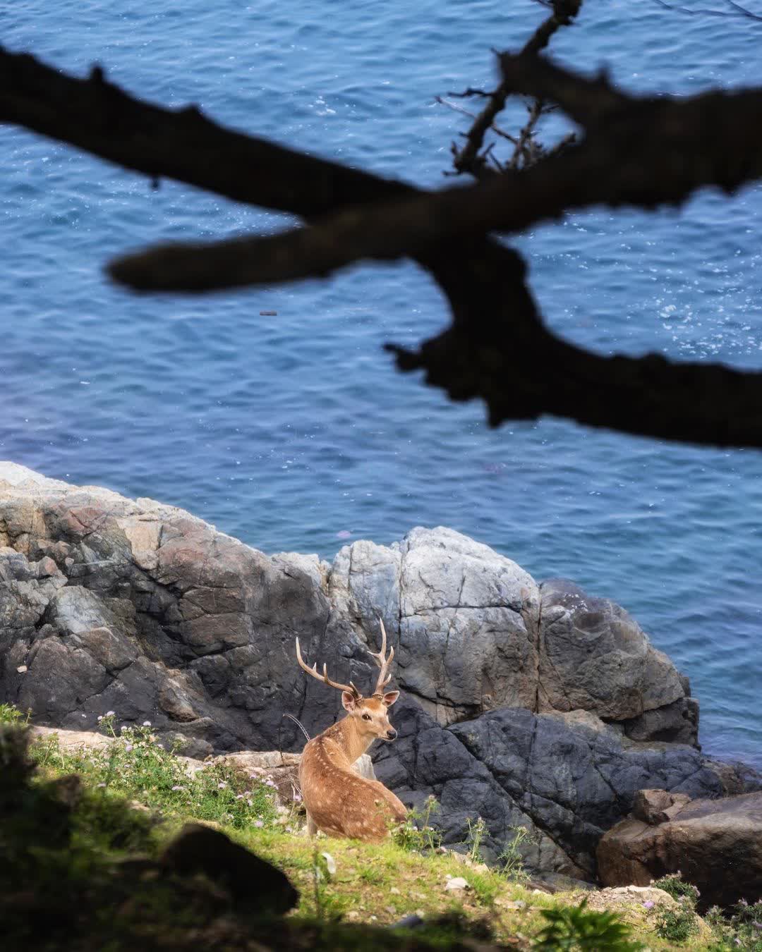大坵島 | 去趣 chicTrip