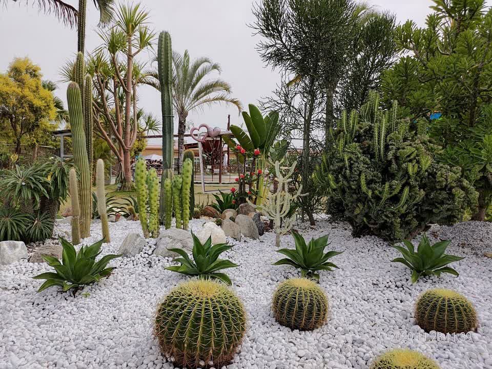 三隻小豬觀光農場 | 去趣 chicTrip