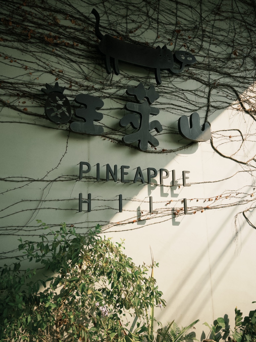 旺萊山-鳳梨文化園區 | 去趣 chicTrip