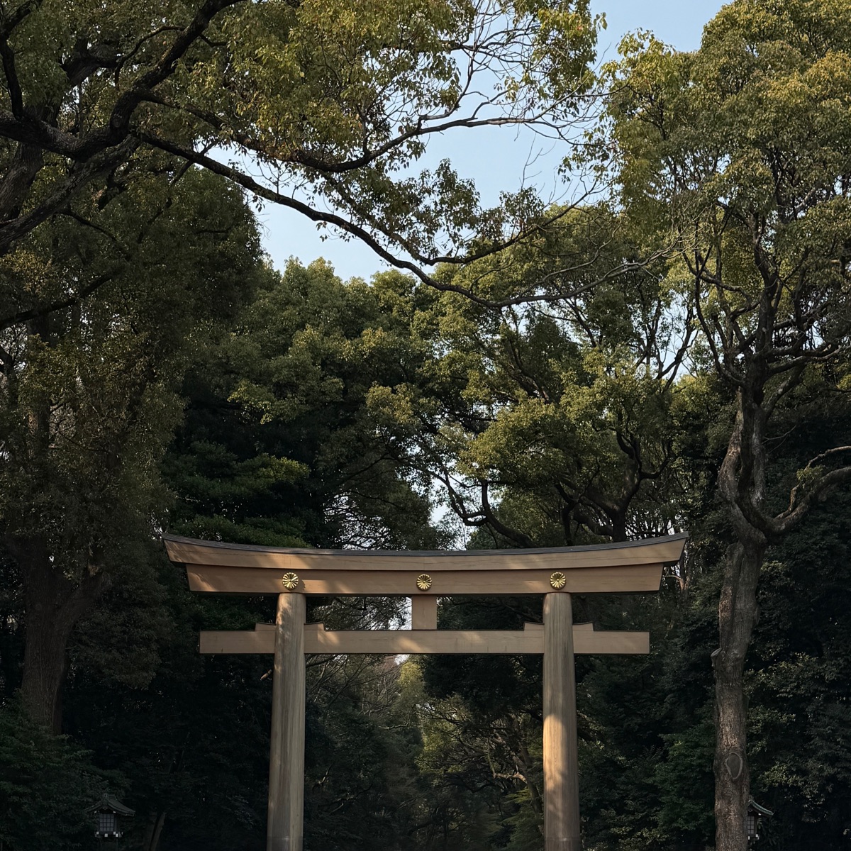 明治神宮 | 去趣 chicTrip