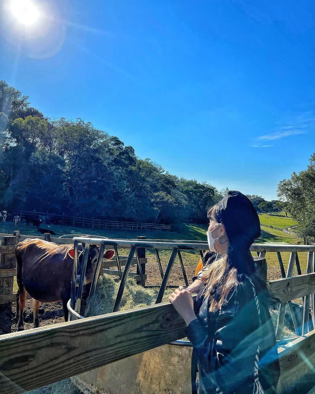 飛牛牧場 | 去趣 chicTrip