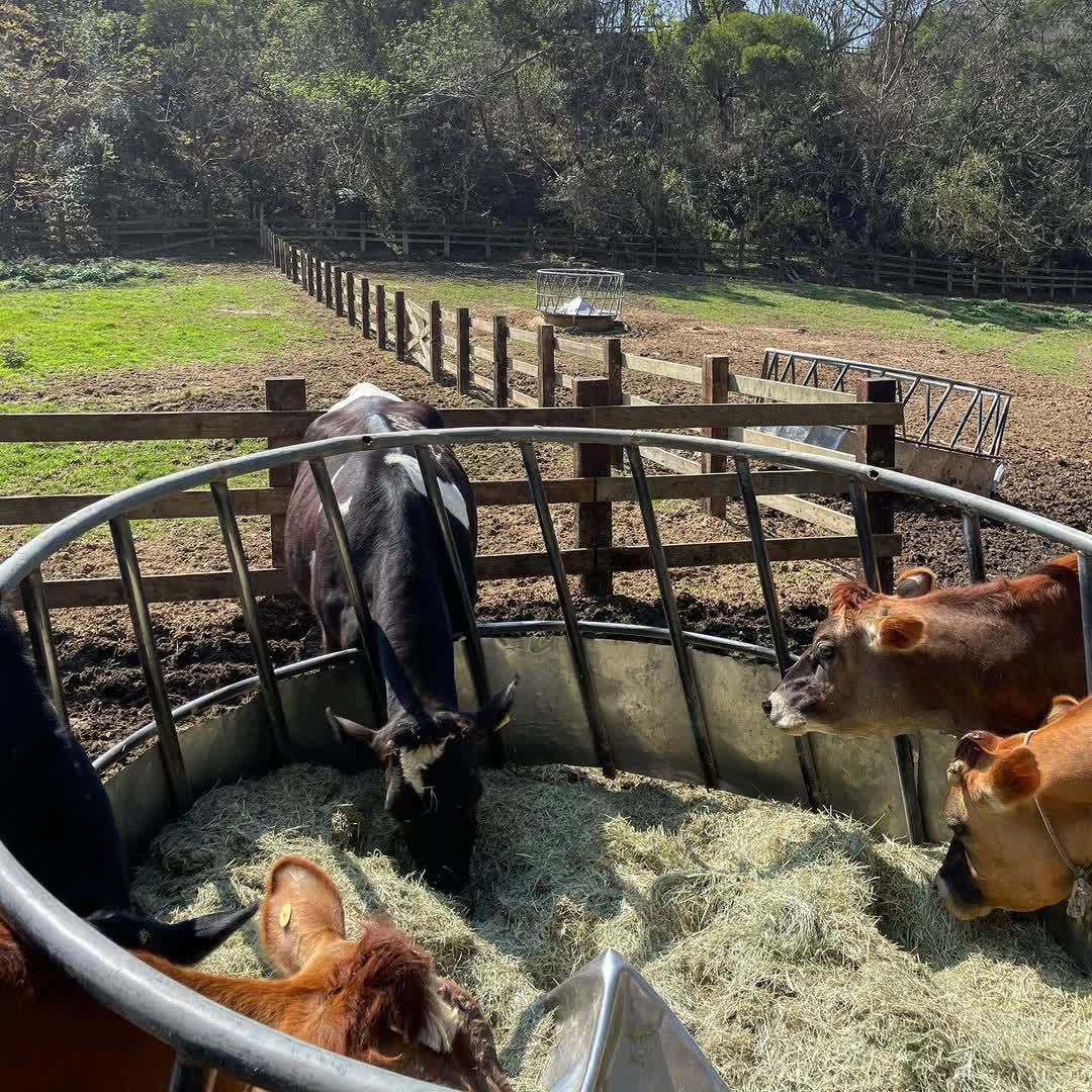 飛牛牧場 | 去趣 chicTrip