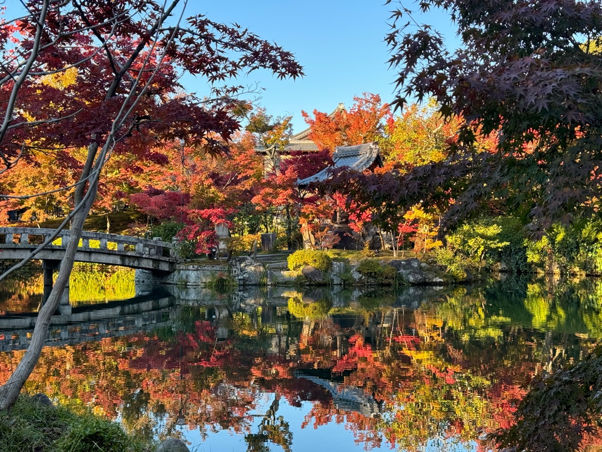 禪林寺永觀堂 | 去趣 chicTrip