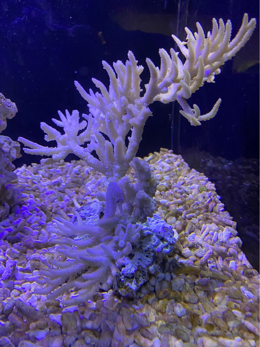 金車生技水產養殖研發中心 | 去趣 chicTrip