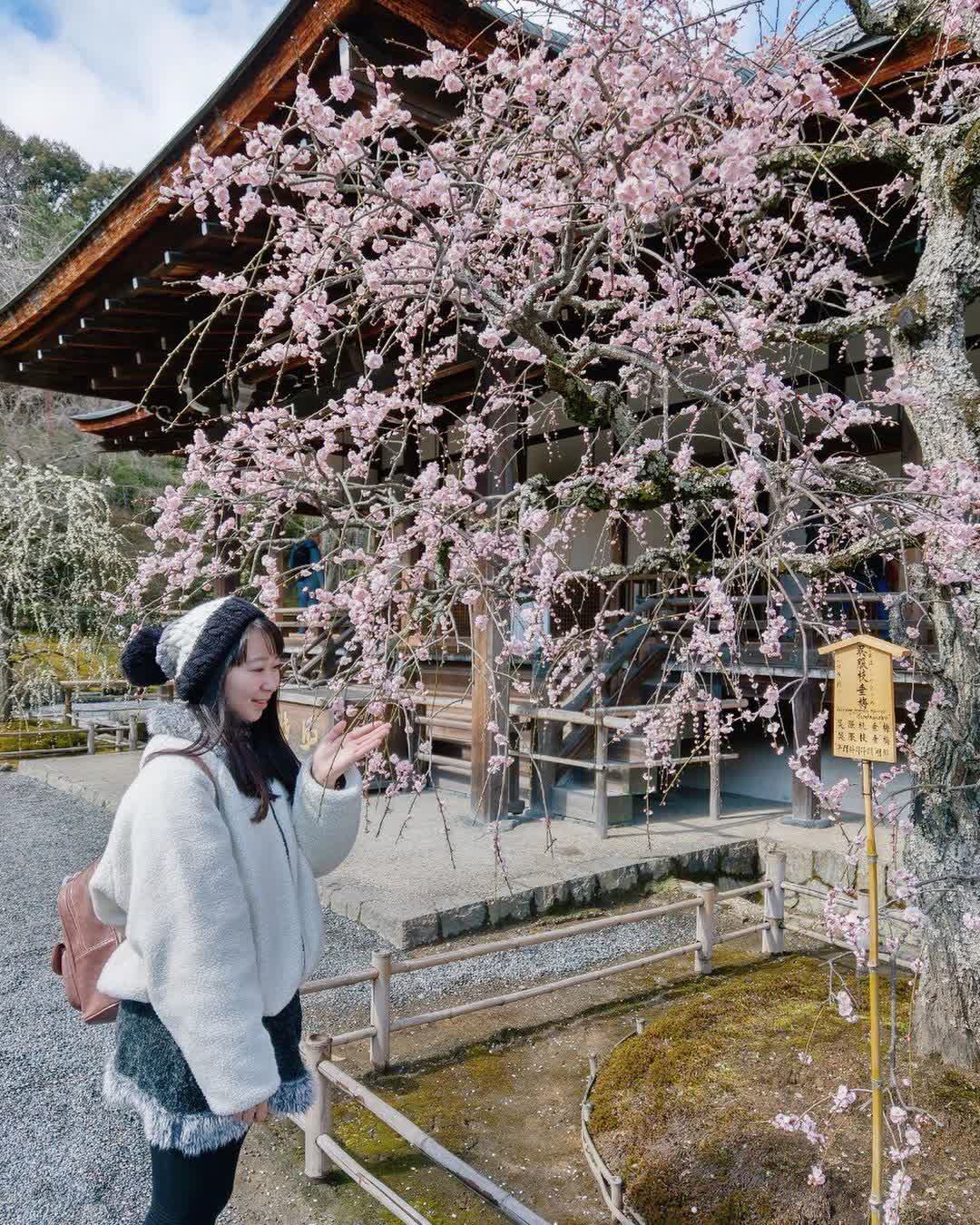 天龍寺 | 去趣 chicTrip