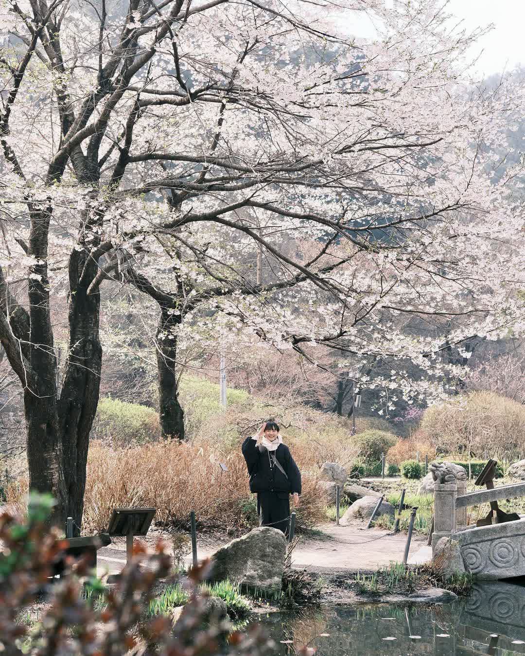 晨靜樹木園 | 去趣 chicTrip